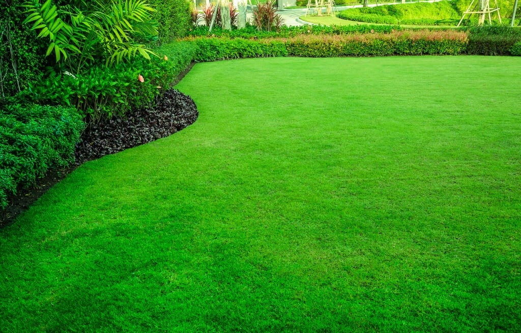 Go Green with These Natural Tips for a Lush, Greener Lawn!