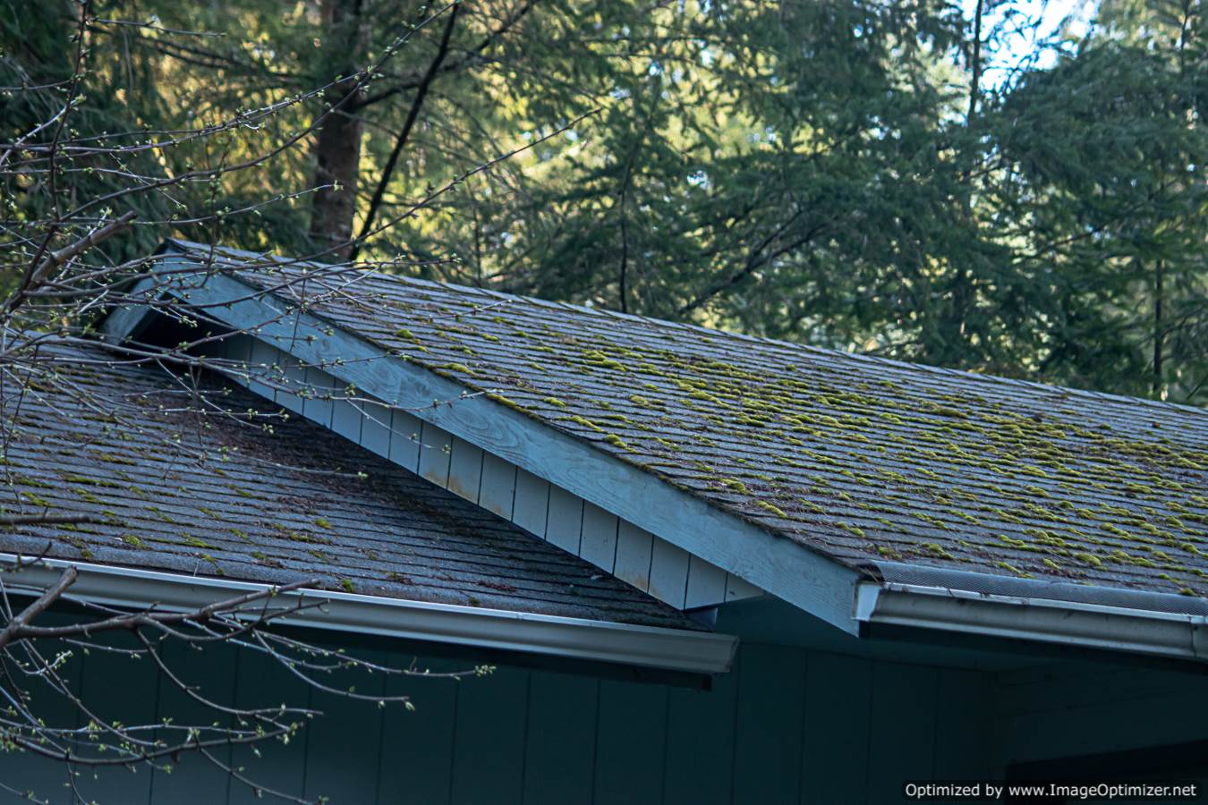 7 Signs the Roof of Your House Needs Repair