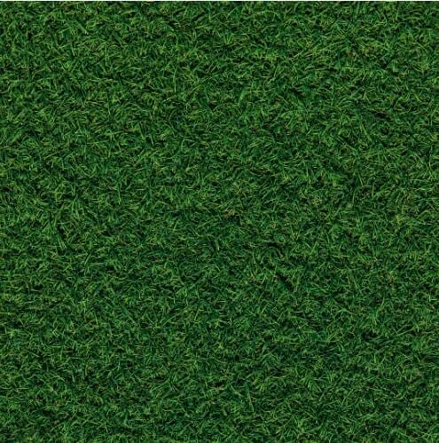 Uncovering the Problems with Artificial Grass: What You Need to Know