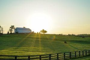 Moving to Kentucky Guide